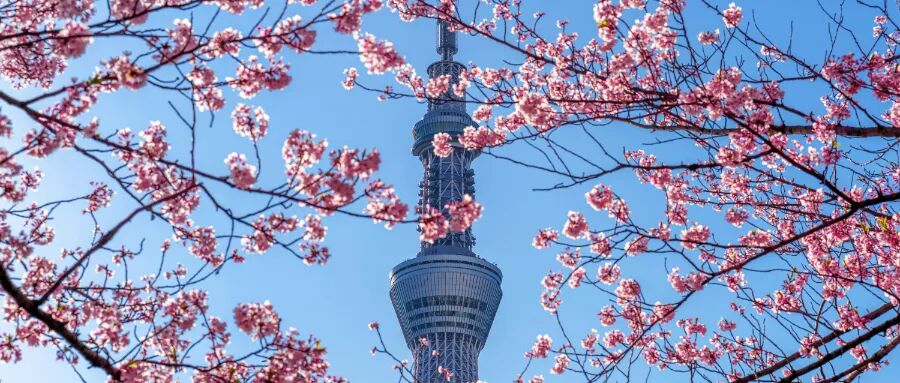 門檻猛翻6倍，還將新增這些要求？新政或在10月正式落地？
